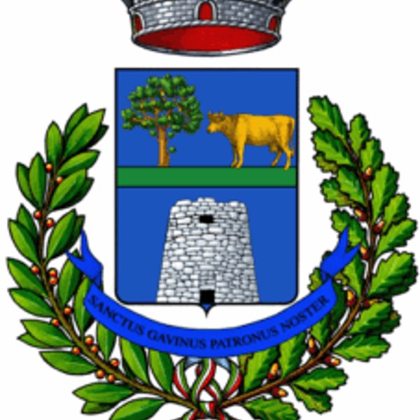 PAESE CHE VAI puntata 05 – ONIFERI